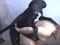 Black dog fucking on a snatch